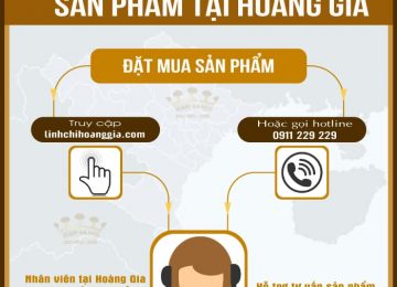 HƯỚNG DẪN ĐẶT HÀNG TRÊN WEBSITE VÀ HOTLINE
