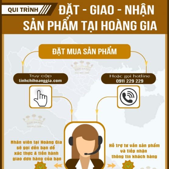 HƯỚNG DẪN ĐẶT HÀNG TRÊN WEBSITE VÀ HOTLINE