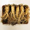Nhân Sâm Tươi Hàn Quốc - Loại 5 Củ/Kg