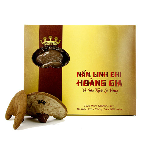 gia-nam-linh-chi-vn-loai-1