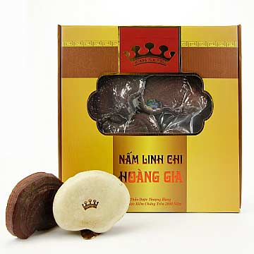 gia-nam-linh-chi-nhat-ban