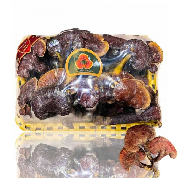 Nấm Lim Xanh Thu Hái Tự Nhiên - Hoàng Gia Loại Thượng Hạng Đặc Biệt 1Kg