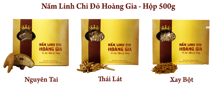 nam-linh-chi-loai-1