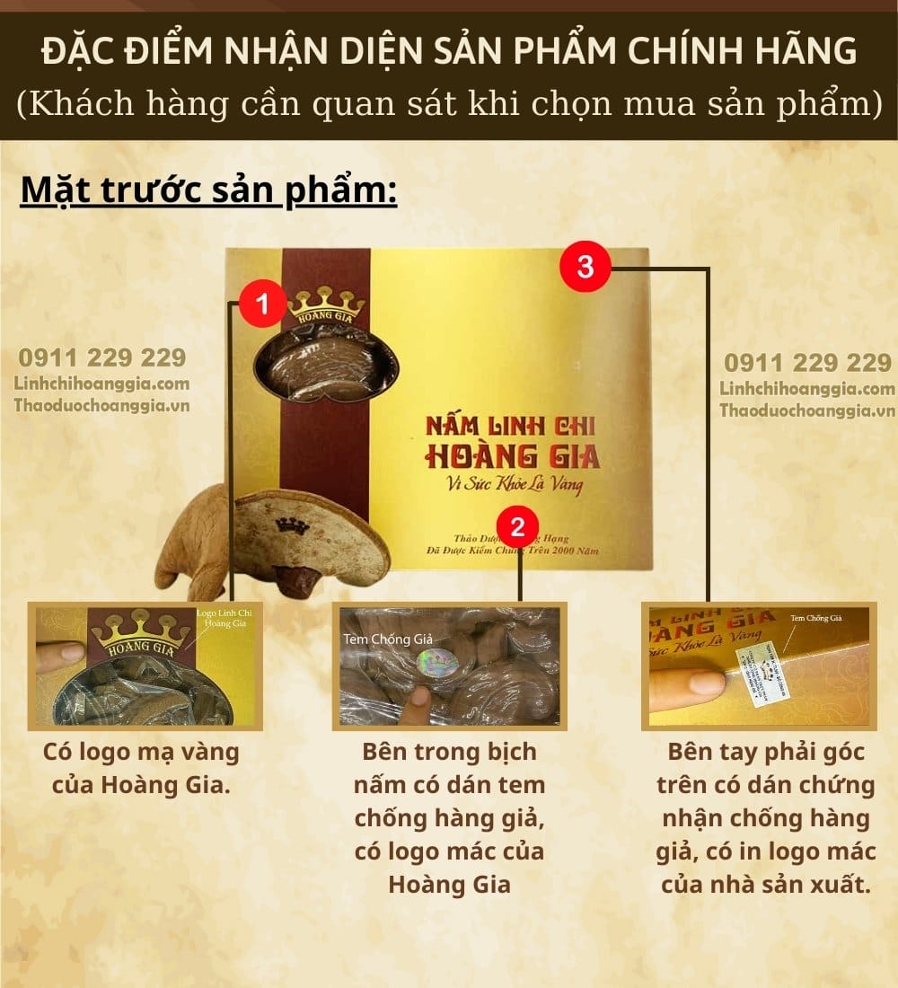 nam-linh-chi-hoang-gia-pho-thong