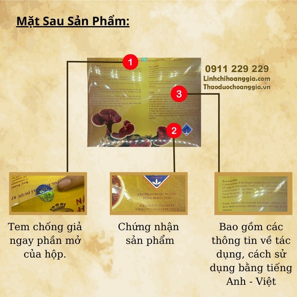 nam-linh-chi-hoang-gia-pho-thong