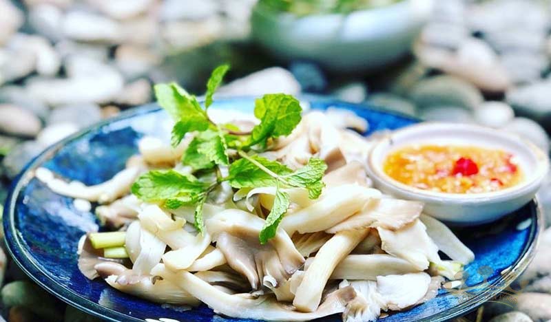 cach-lam-nam-so-bao-ngu-hap-chay
