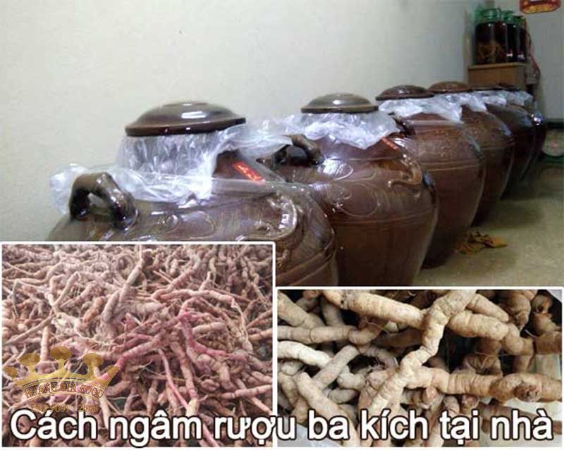 cach-ngam-ruou-ba-kich