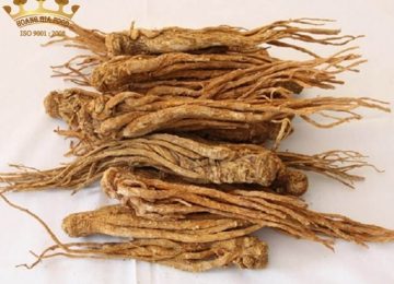 Sâm đương quy – thực phẩm vàng cho cả sức khỏe và sắc đẹp