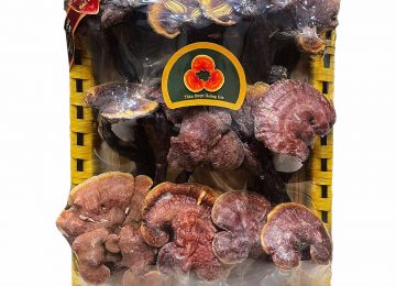 Thảo Dược Hoàng Gia – Địa Chỉ Bán Nấm Lim Xanh Uy Tín tại Hà Nội