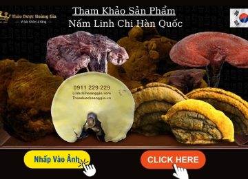 Giá​ Nấm Linh Chi Mới Nhất! Cập Nhật cùng Linh Chi Hoàng Gia