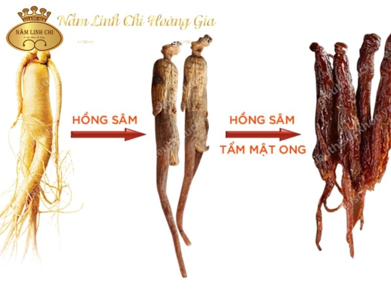 hong-sam-tam-mat-ong