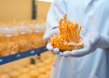 Thời điểm tốt nhất để sử dụng Đông trùng hạ thảo hiệu quả nhất