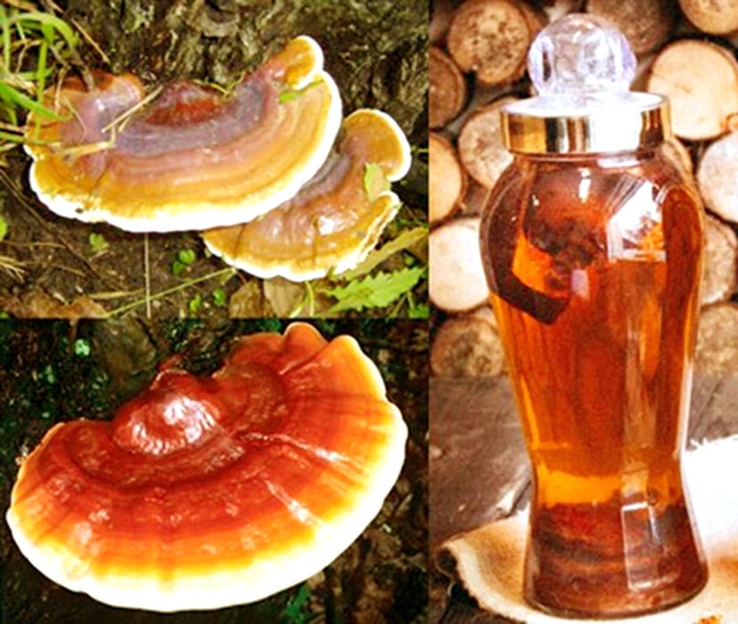 ruou-lim-xanh