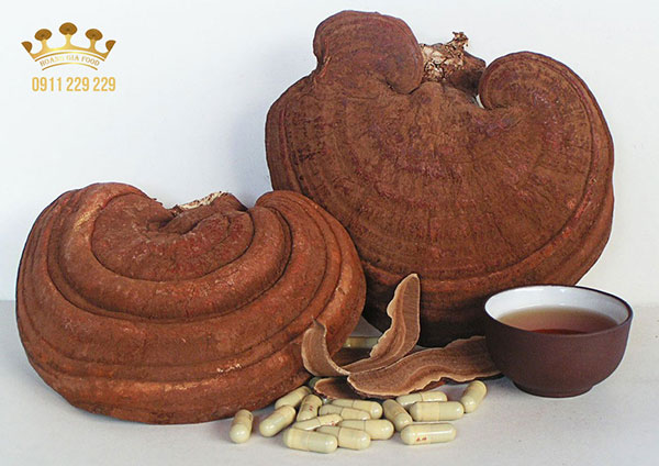 cach-dung-nam-linh-chi-viet-nam