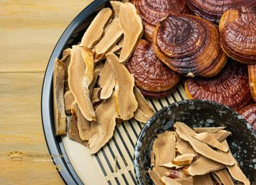 11+ Cách sử dụng nấm linh chi và giải đáp thắc mắc phổ biến