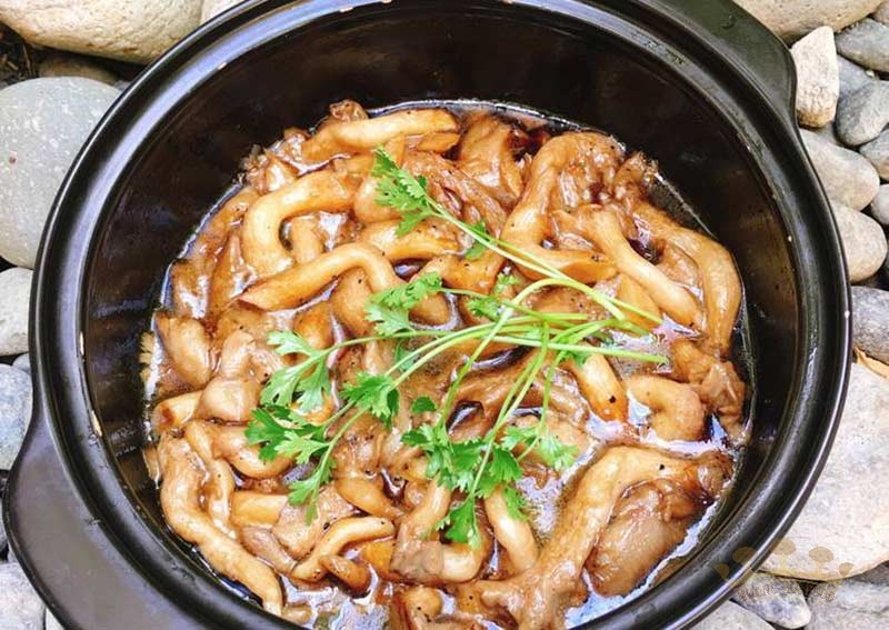 nam-bao-ngu-kho-tieu