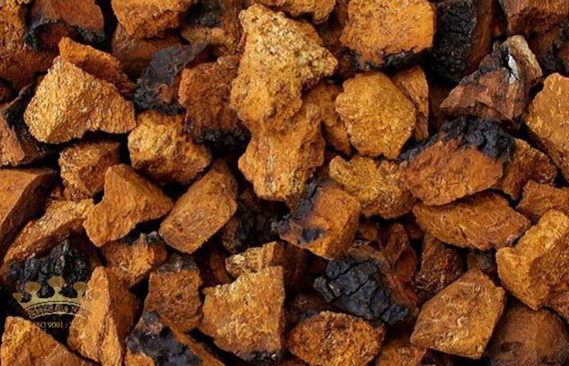 nam-chaga-tu-nhien