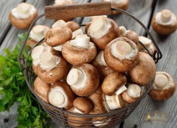 Top 12 Loại Nấm dinh dưỡng dùng nấu ăn phổ biến nhất