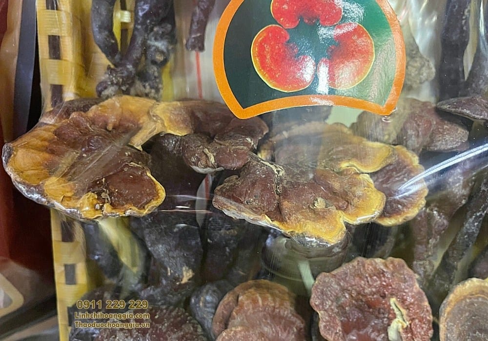 nam-lim-xanh-loai-1-500g
