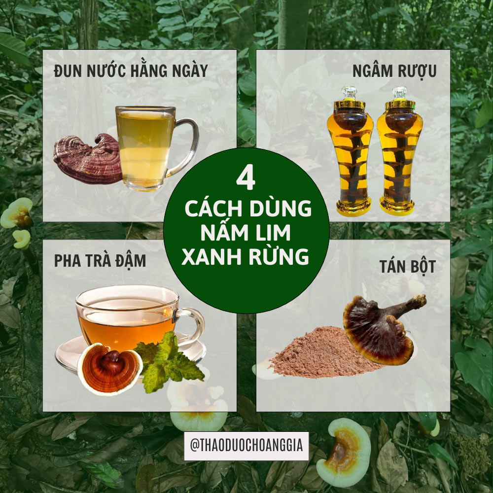 cach-su-dung-nam-lim-xanh