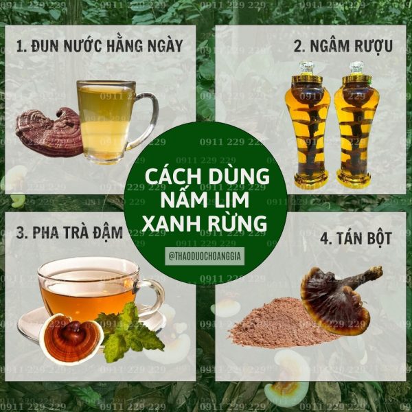 Nấm Lim Xanh Thu Hái Tự Nhiên - Hoàng Gia Loại Thượng Hạng Đặc Biệt 1Kg