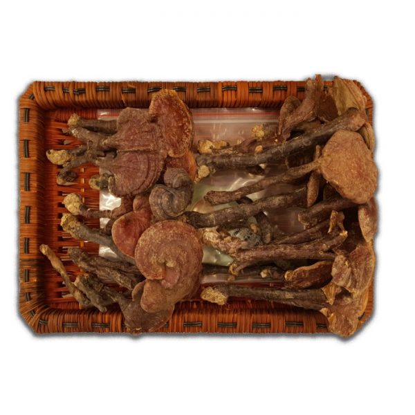 Nấm Lim Xanh Thu Hái Tự Nhiên - Hoàng Gia Loại Thượng Hạng Đặc Biệt 500g