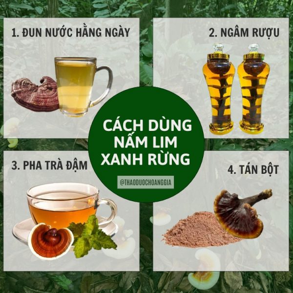 Nấm Lim Xanh Thu Hái Tự Nhiên Quảng Nam - Loại Tiêu Chuẩn 1Kg