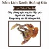 Nấm Lim Xanh Thu Hái Tự Nhiên Quảng Nam - Loại Tiêu Chuẩn 1Kg