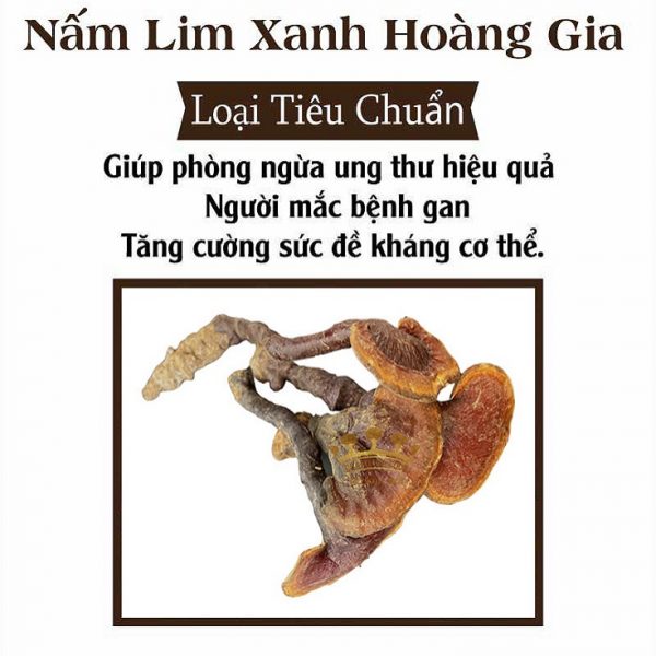 Nấm Lim Xanh Thu Hái Tự Nhiên Quảng Nam - Loại Tiêu Chuẩn 500G