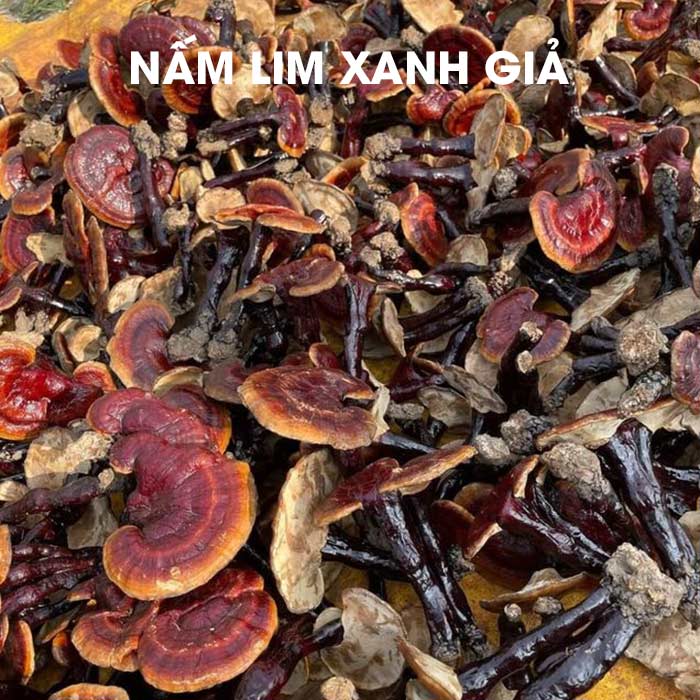 nam-lim-xanh-trong