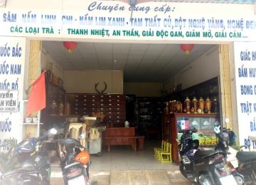 Cửa Hàng Bán Nấm Lim Xanh Rõ Nguồn Gốc – An Tâm Sử Dụng