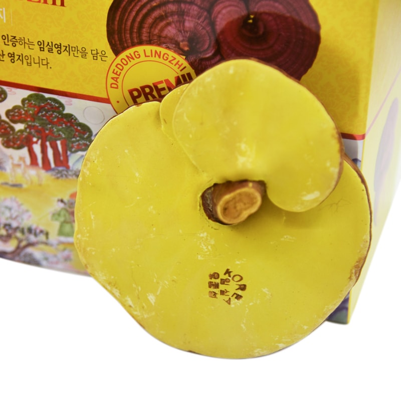 nam-linh-chi-daedong-lingzhi-mushroom-premium-han-quoc