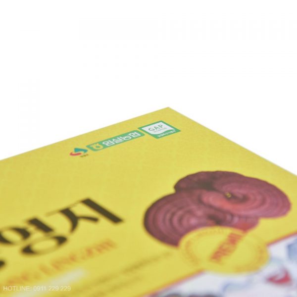 Nấm Linh Chi Đỏ Hàn Quốc Imsil Daedong 1kg Premium