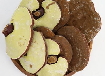 Tác dụng của Nấm Linh Chi Hàn Quốc và xác định nguồn gốc chuẩn xác