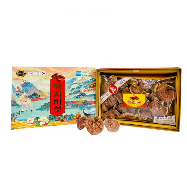 Nấm Linh Chi Hàn Quốc Tiến Vua Hộp Quà Tặng 1000G - Linh Chi Hoàng Gia
