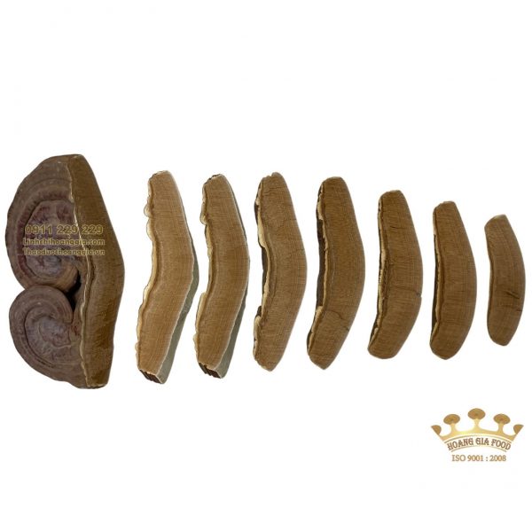 Nấm Linh Chi Hàn Quốc Túi Nâu 1Kg - Trồng Tự Nhiên (Hỗ Trợ Thái Lát)