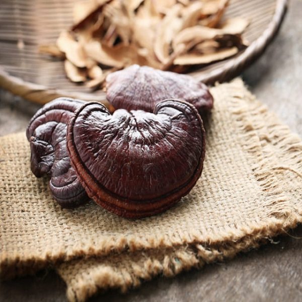 Nấm Linh Chi Nhật Bản Thượng Hạng 500g Nguyên Tai