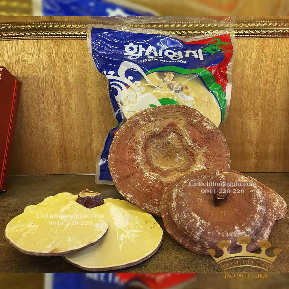 nam-linh-chi-nong-huyp-tui-xanh-1kg