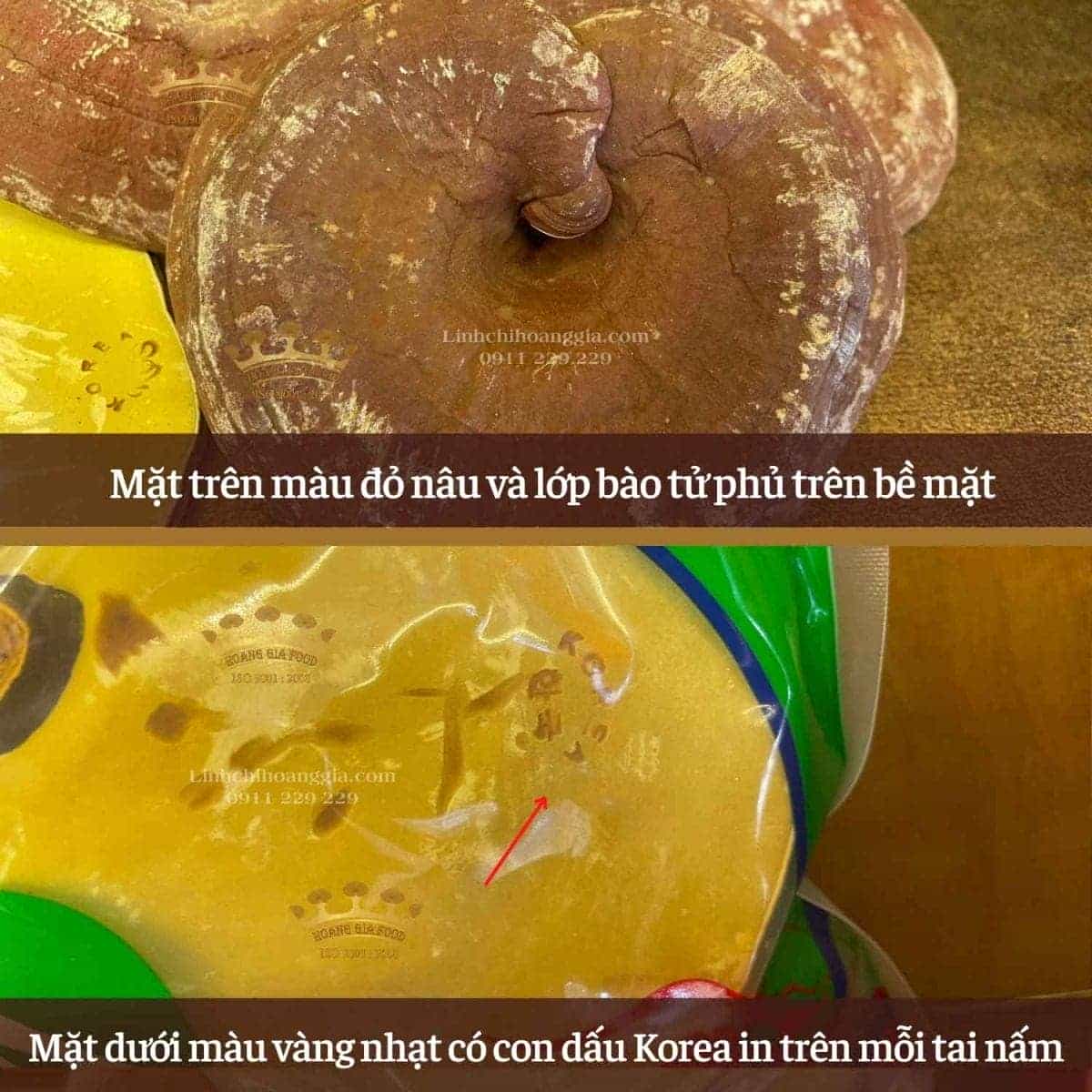 nam-linh-chi-nong-huyp-tui-xanh-1kg