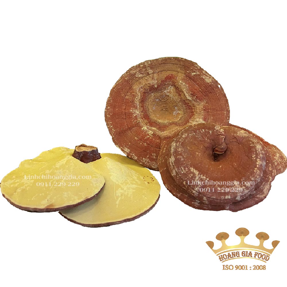nam-linh-chi-nong-huyp-tui-xanh-1kg