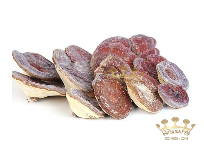 nam-linh-chi-nui-da-han-quoc