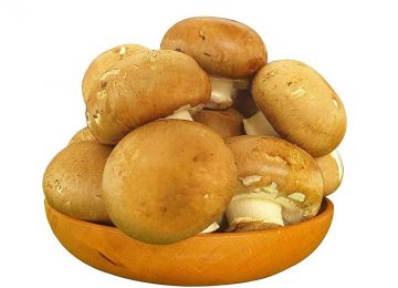 Nấm Mỡ Nâu Tươi & Khô và những cách chế biến ngon miệng nhất