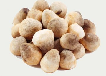 Cách Chế Biến Nấm Rơm và các thông tin cần thiết