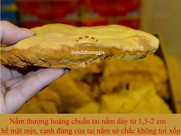 nam-thuong-hoang-han-quoc-that