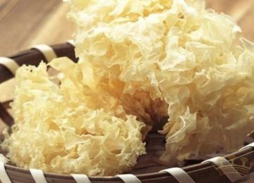 Nấm Tuyết: Hình ảnh, Công Dụng và Cách Sử Dụng Hiệu Quả