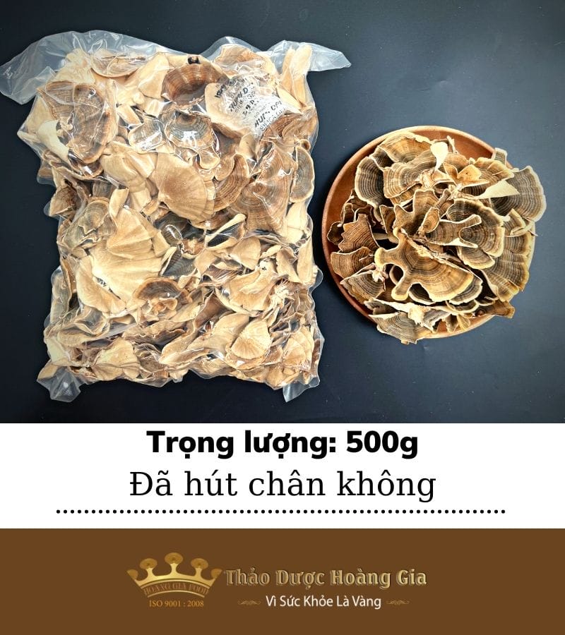 nam-van-chi-hoang-gia500