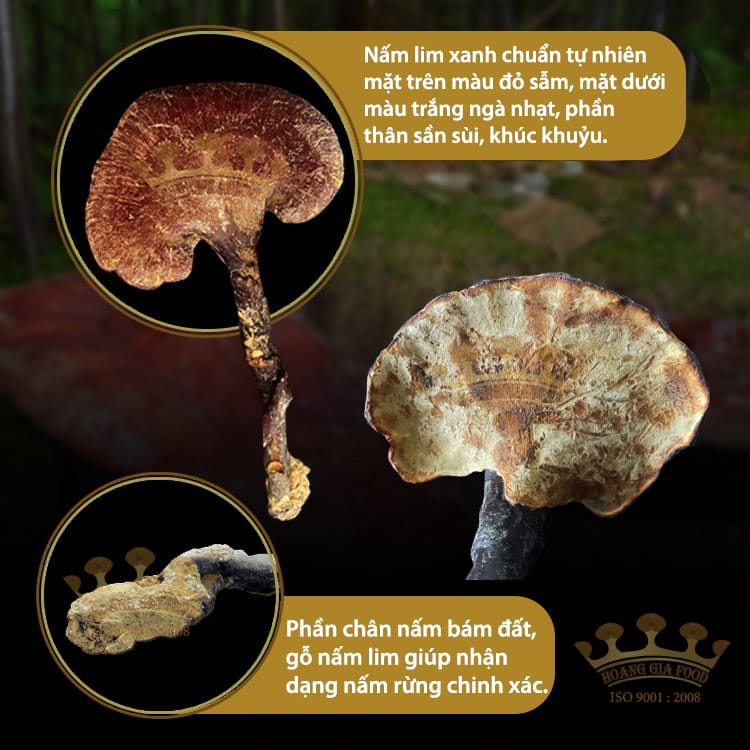 nam-lim-xanh-tu-nhien-500g