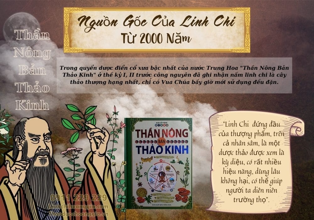 nguon-goc-linh-chi