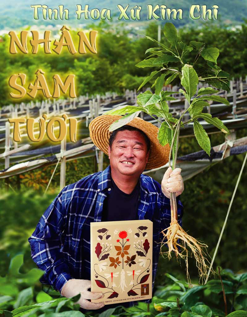 sam-tuoi-han-quoc-8-cu