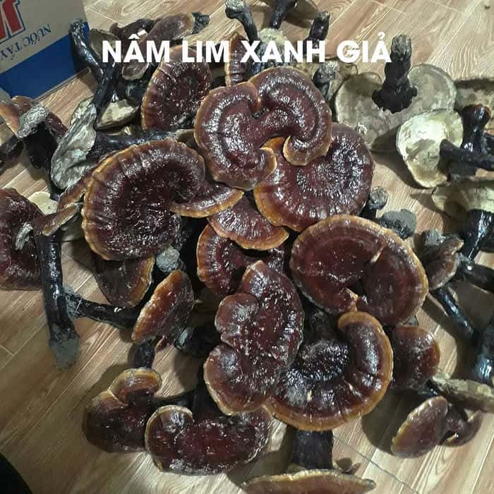 nam-lim-xanh-trong